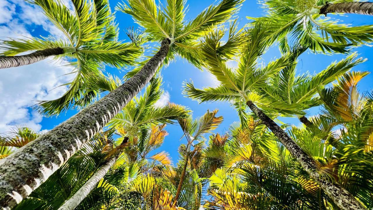 Ile Tropical Lodges Сент-Анн Екстер'єр фото